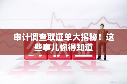 集美审计调查取证单大揭秘！这些事儿你得知道