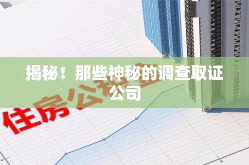 集美揭秘！那些神秘的调查取证公司