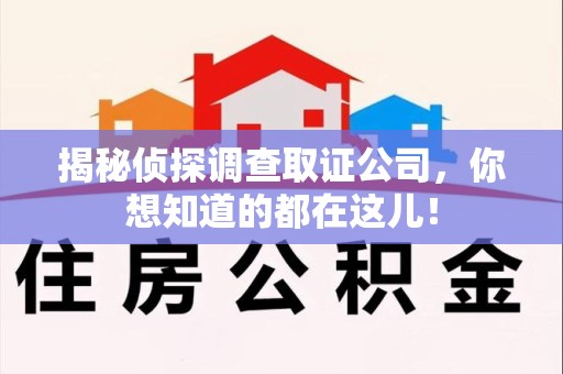 集美揭秘侦探调查取证公司，你想知道的都在这儿！