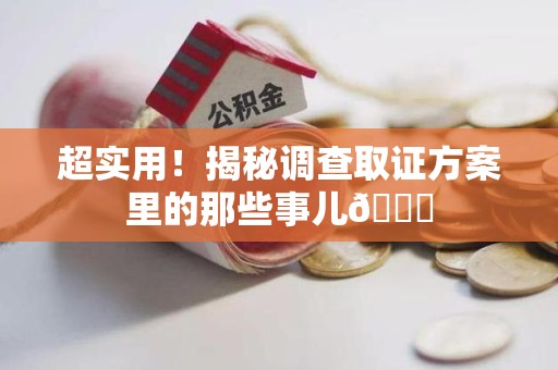 集美超实用！揭秘调查取证方案里的那些事儿😎