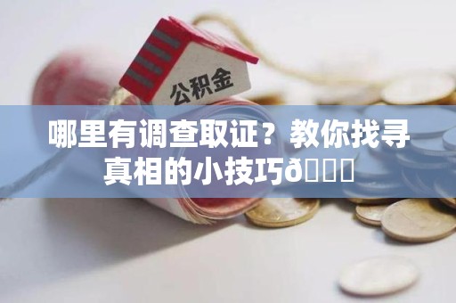 集美哪里有调查取证？教你找寻真相的小技巧😎