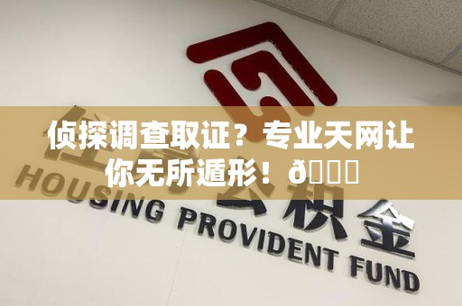 集美侦探调查取证？专业天网让你无所遁形！😎