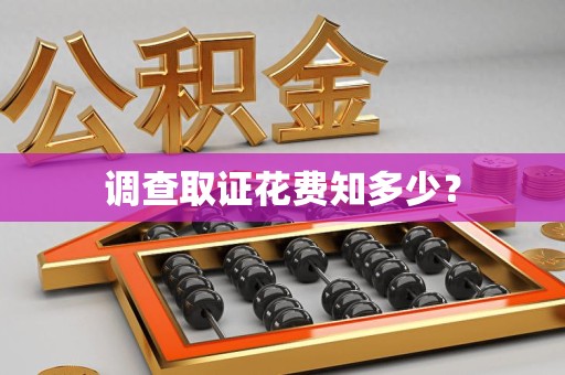 集美调查取证花费知多少？