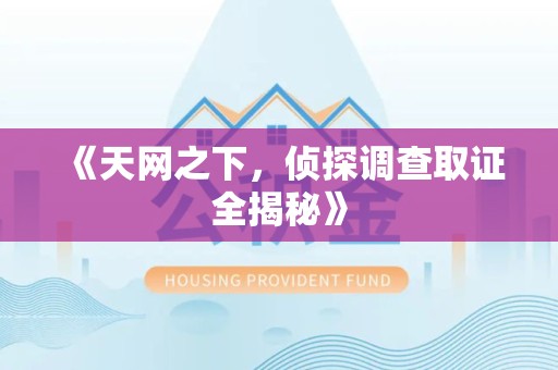 集美《天网之下，侦探调查取证全揭秘》