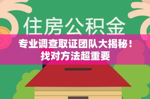 集美专业调查取证团队大揭秘！找对方法超重要
