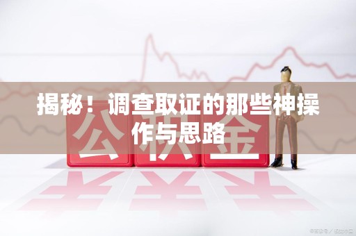 集美揭秘！调查取证的那些神操作与思路