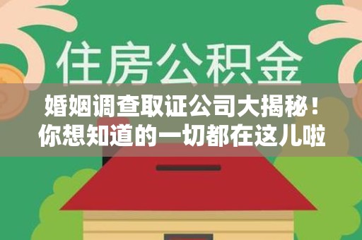 集美婚姻调查取证公司大揭秘！你想知道的一切都在这儿啦😉