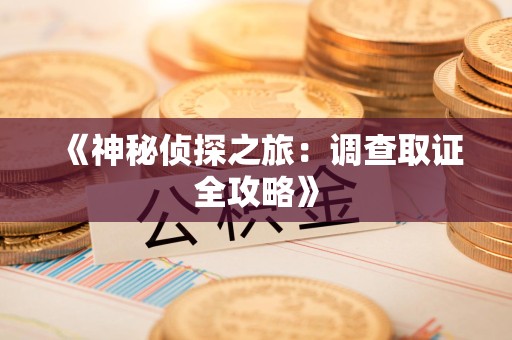 集美《神秘侦探之旅：调查取证全攻略》