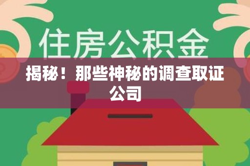 集美揭秘！那些神秘的调查取证公司