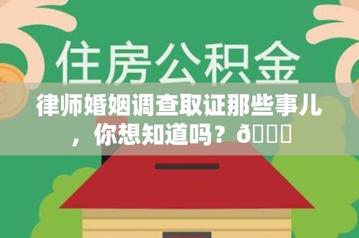集美律师婚姻调查取证那些事儿，你想知道吗？😎