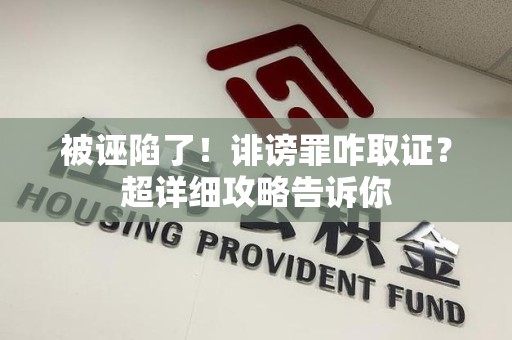 集美被诬陷了！诽谤罪咋取证？超详细攻略告诉你