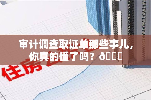 集美审计调查取证单那些事儿，你真的懂了吗？😎