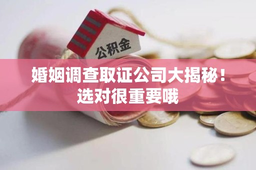 集美婚姻调查取证公司大揭秘！选对很重要哦