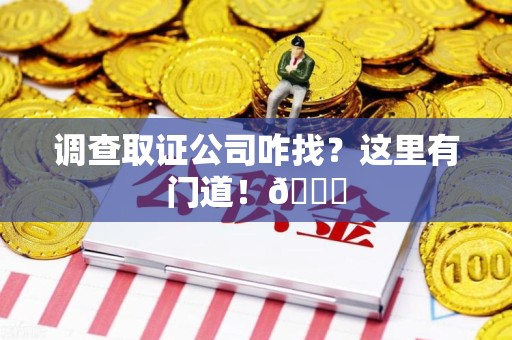 集美调查取证公司咋找？这里有门道！😎