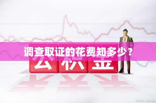 集美调查取证的花费知多少？