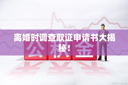 集美离婚时调查取证申请书大揭秘！